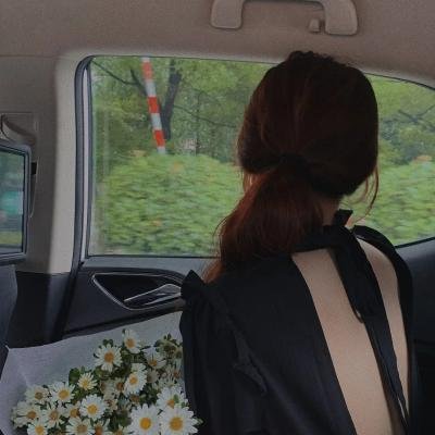 纸房子:全球热潮